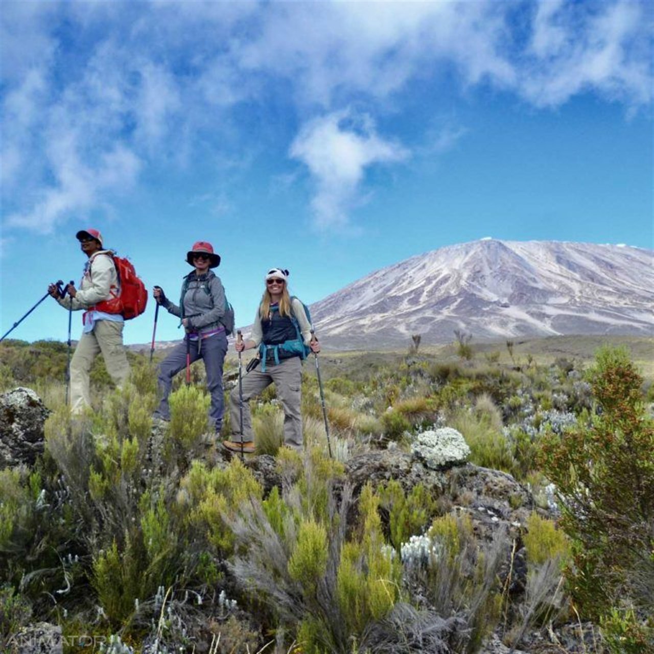 Trekking na Kilimandżaro